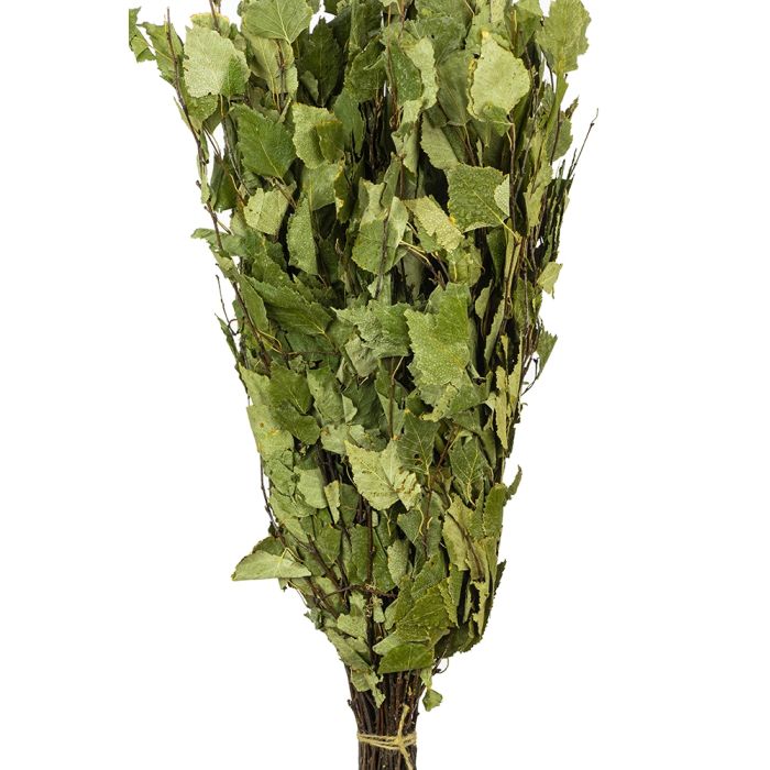 Premium Birkenquast "Vihta"