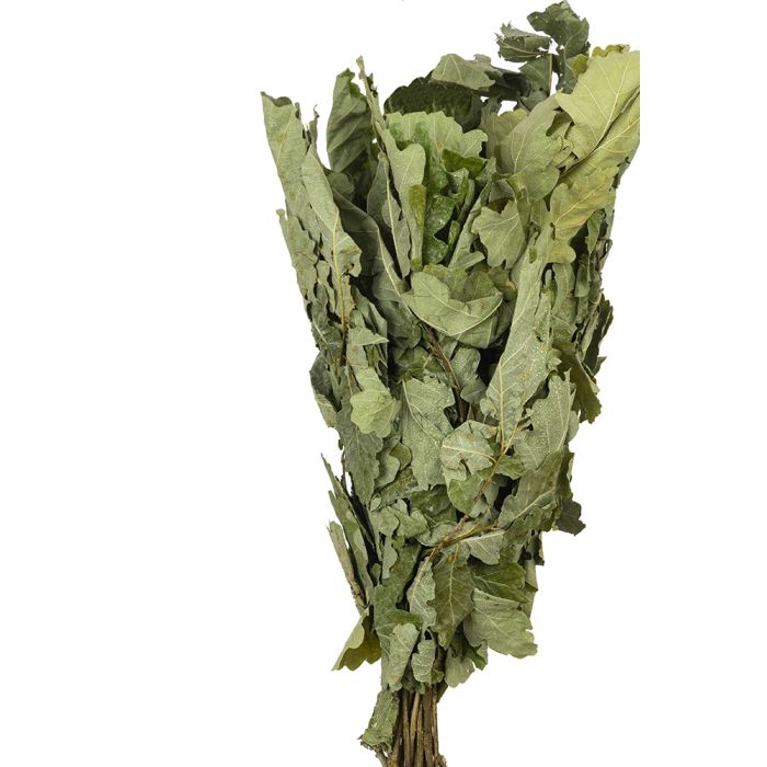 Finnischer Eichen-Quast "Vihta"