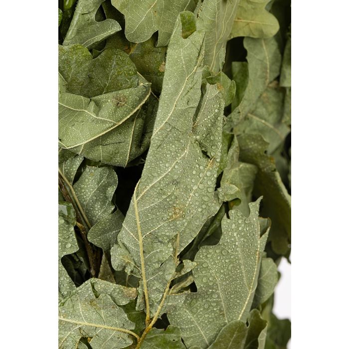 Finnischer Eichen-Quast "Vihta"