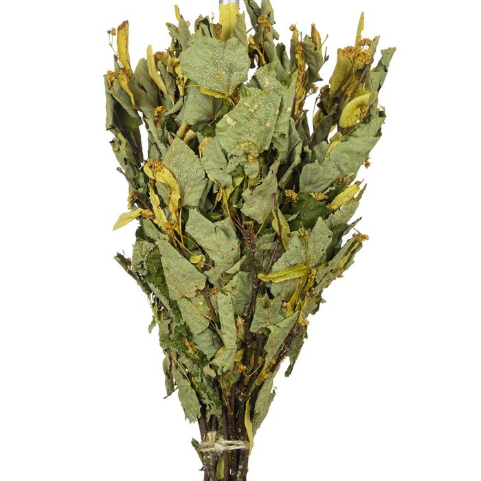 Finnischer Lindenblüten-Quast "Vihta"