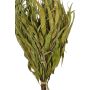 Finnischer Eukalyptus-Quast "Vihta"