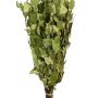 Premium Birkenquast "Vihta"