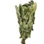 Finnischer Eichen-Quast "Vihta"