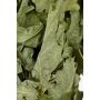 Finnischer Eichen-Quast "Vihta"