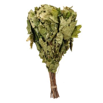 Finnischer Ahornquast "Vihta" aus frischen Zweigen dichtbelaubter Bäume